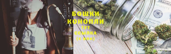 ГАЛЛЮЦИНОГЕННЫЕ ГРИБЫ Верхнеуральск