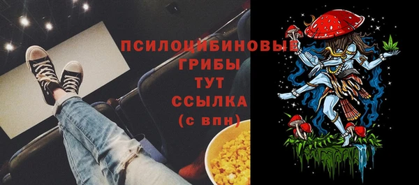 соль ск Верхний Тагил