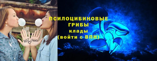 ГАЛЛЮЦИНОГЕННЫЕ ГРИБЫ Верхнеуральск