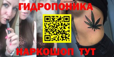 гидропоника Берёзовский