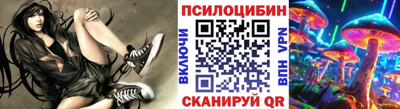 Псилоцибиновые грибы Psilocybe  где купить наркотик  Гатчина 