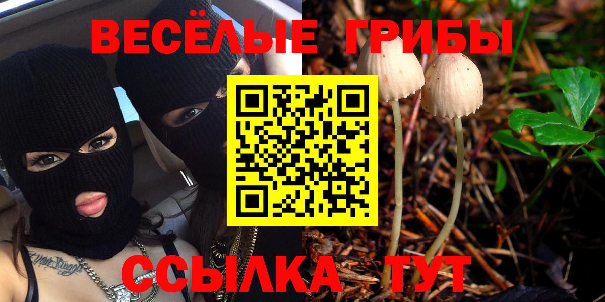 закладки  Вход с VPN  Галлюциногенные грибы мицелий  Гатчина  Псилоцибиновые грибы мухоморы 