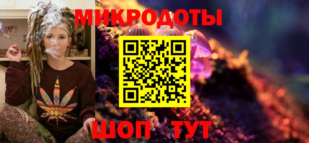 Псилоцибиновые грибы мухоморы Гатчина