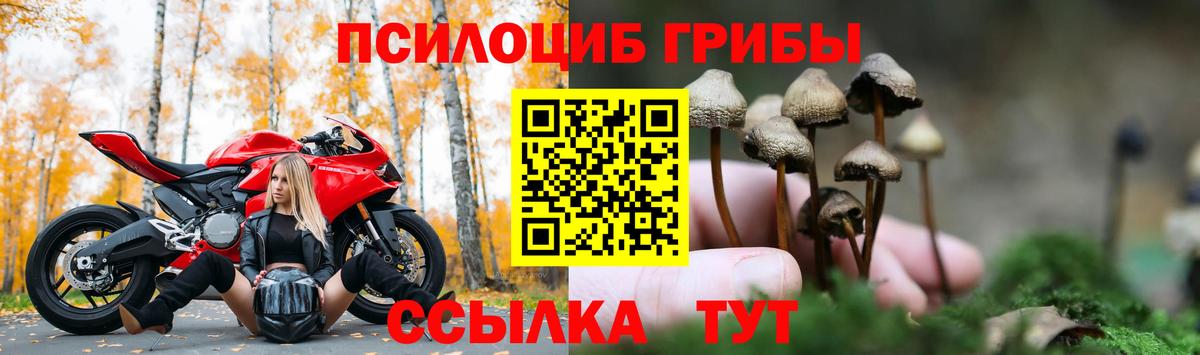 Галлюциногенные грибы ЛСД  Гатчина 