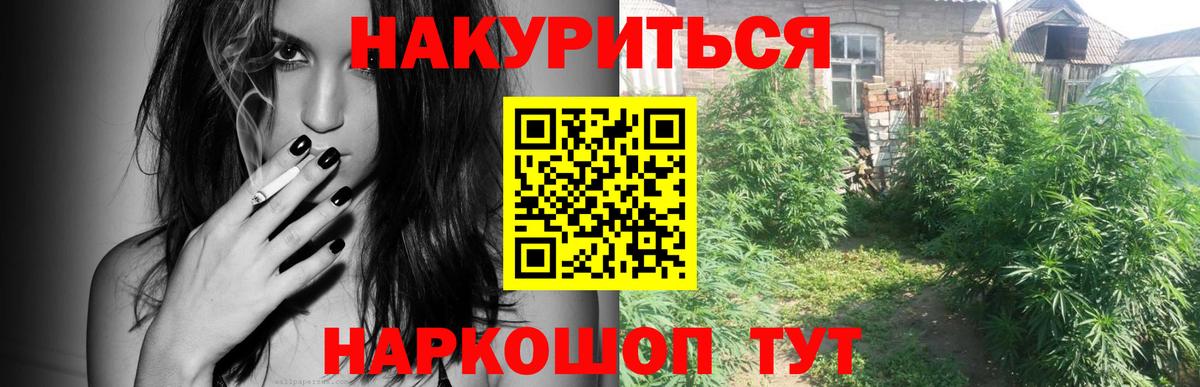 Конопля Amnesia  Вход с VPN  Гатчина  Бошки Шишки ГИДРОПОН 